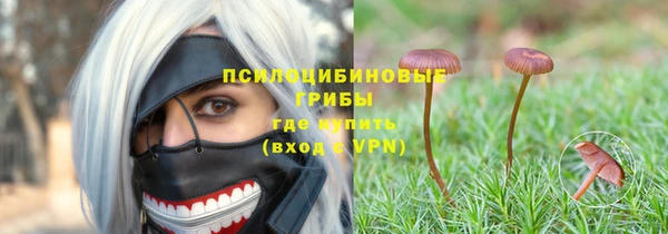 spice Горнозаводск