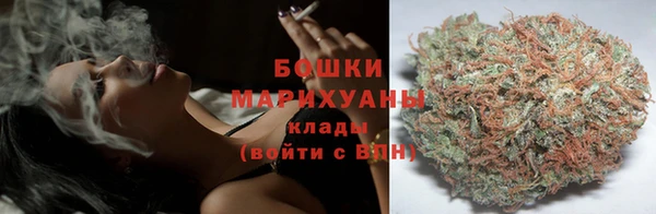 PSILOCYBIN Горняк