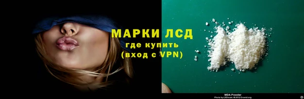 PSILOCYBIN Горняк
