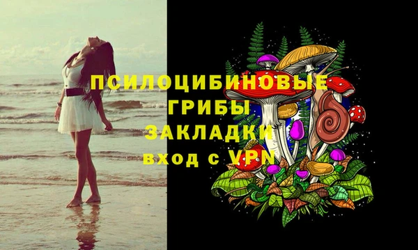 PSILOCYBIN Горняк