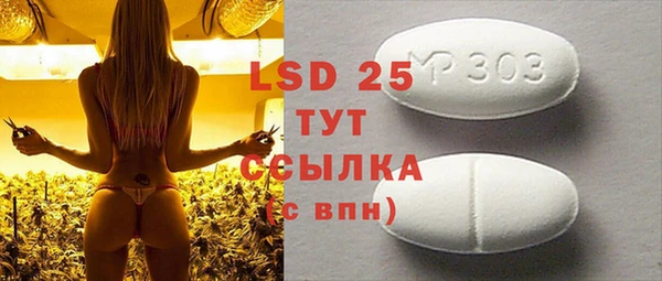 PSILOCYBIN Горняк