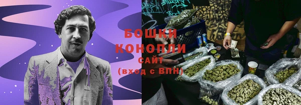 PSILOCYBIN Горняк