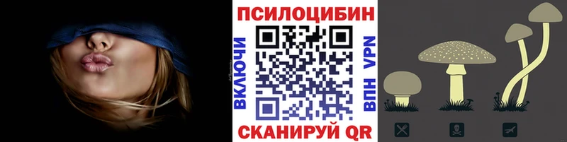 Псилоцибиновые грибы Psilocybine cubensis  как найти наркотики  OMG   Зуевка 